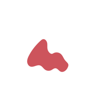 Cef95946-placeholder-1770008128