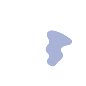 B96fab78-placeholder-1770056169