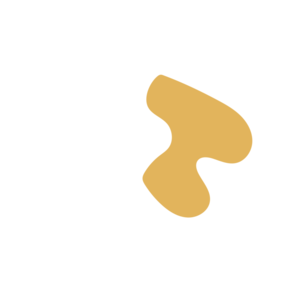 E959a222-placeholder-1770056161