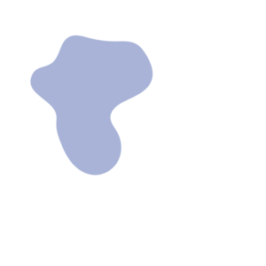 07156371-placeholder-1770006476