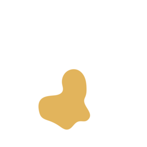 D575c126-placeholder-1768566465