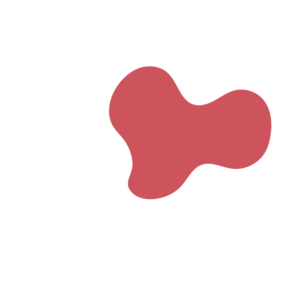 84b2d2db-placeholder-1770015573