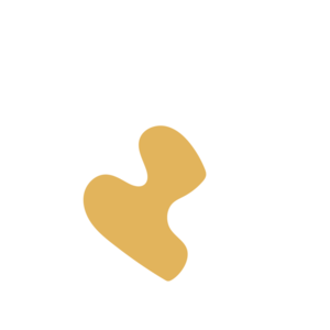 014679e5-placeholder-1770006864