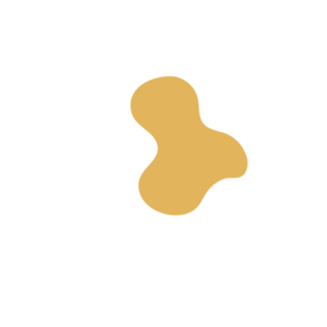 1507fc01-placeholder-1770040453