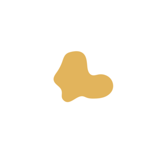 828b8ad7-placeholder-1770011934