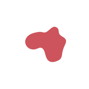 Ec091b51-placeholder-1769994512