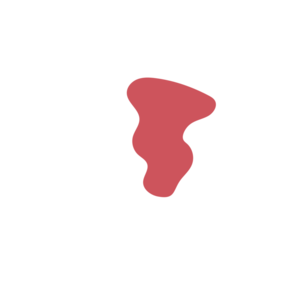 D135a79d-placeholder-1770048785