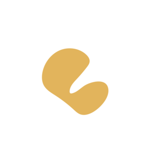 6b7ec9dd-placeholder-1770007001