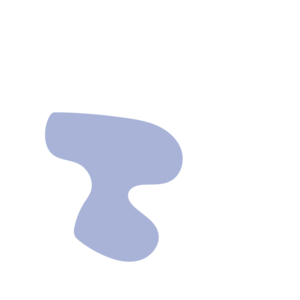 C2899130-placeholder-1769997588