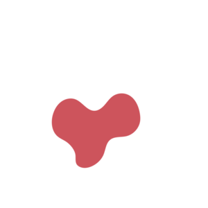 0f5578cc-placeholder-1770020233