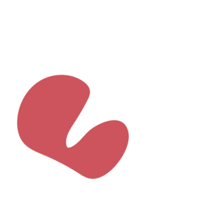 9b335dd1-placeholder-1770056210