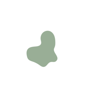 57d26054-placeholder-1770005329