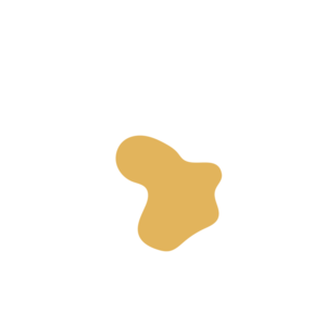 9c293e30-placeholder-1770023921