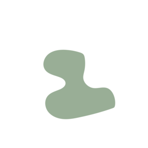 B26acad4-placeholder-1770005965