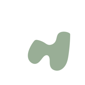 6d837253-placeholder-1770013535