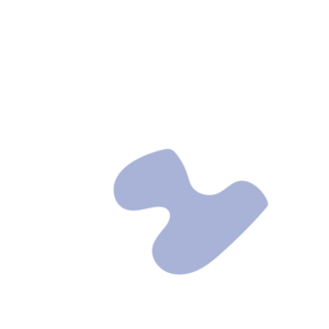 8a120841-placeholder-1770056430