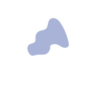 E218d562-placeholder-1769998969