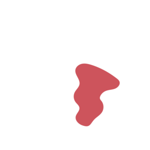 9039a65e-placeholder-1770011707