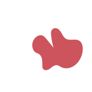 53a57e8f-placeholder-1770154460