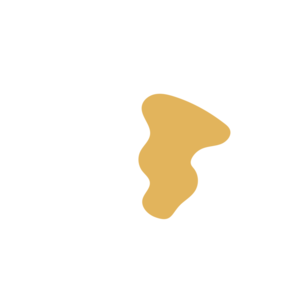 3eb2196f-placeholder-1770019638