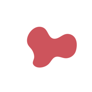 4781d659-placeholder-1770056382