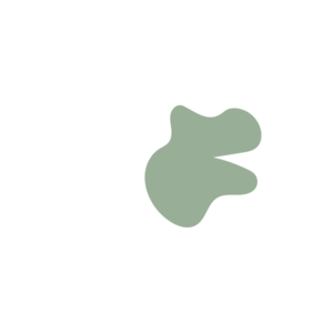 D90f6bdd-placeholder-1770014795