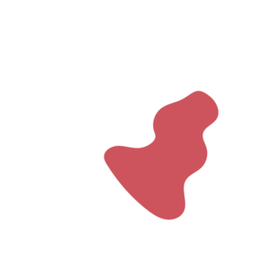 1de7d457-placeholder-1770051884