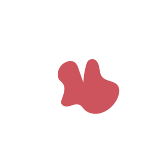 4b46c9ff-placeholder-1770009837