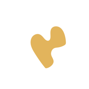 B0f0c926-placeholder-1770006827