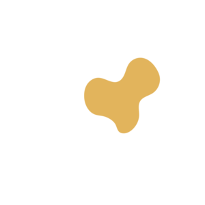 8ae1c4fc-placeholder-1770008153