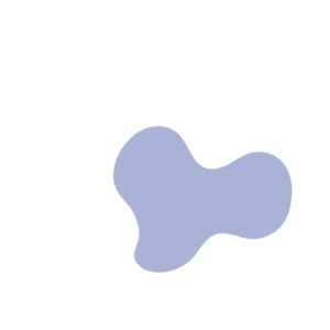 C740074a-placeholder-1770021872