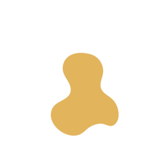 789bbd3e-placeholder-1770026897