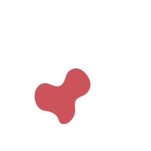 787ef2f0-placeholder-1770007025