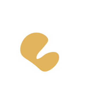 D72415de-placeholder-1770004992