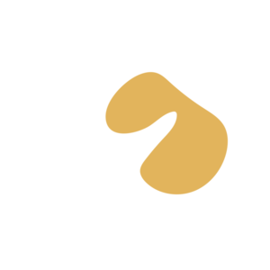 A1395df0-placeholder-1770011514