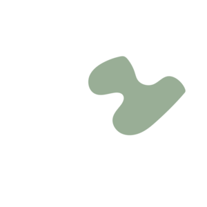 D5e6fa2e-placeholder-1768564233