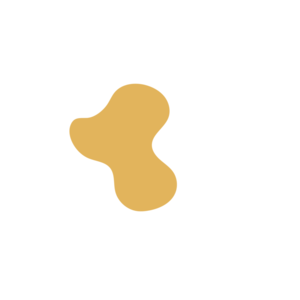 73d1276f-placeholder-1770025644