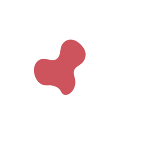 6162525d-placeholder-1770017886