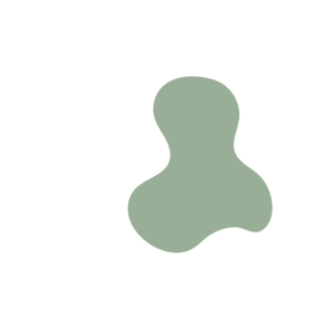 3c34e67f-placeholder-1770022385