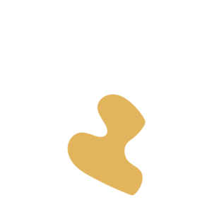 C7f450d6-placeholder-1770054670