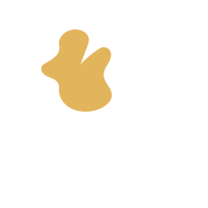 D74a56b9-placeholder-1770051551