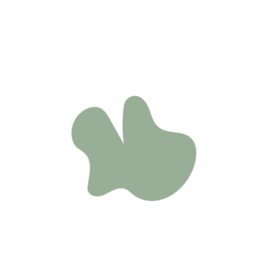 8efa6fc2-placeholder-1770016461