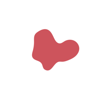 96ac4334-placeholder-1770004997