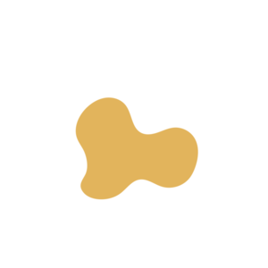 Aff27281-placeholder-1770022196