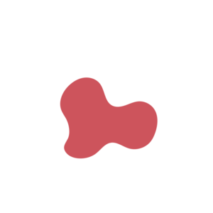 5d8cf3fc-placeholder-1769997011