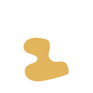 53d63445-placeholder-1770016644