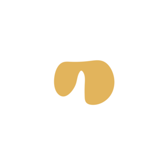 1c689e30-placeholder-1770006806