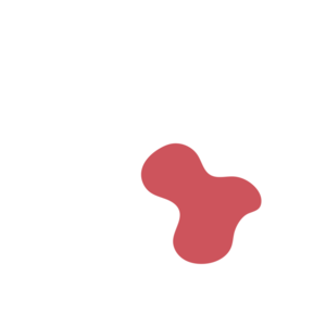 00a61491-placeholder-1770005133