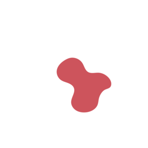 18bc432e-placeholder-1770048426