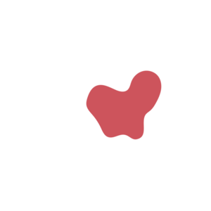 12e247ac-placeholder-1769345376